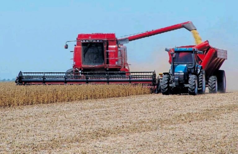 La seguridad alimentaria en foco