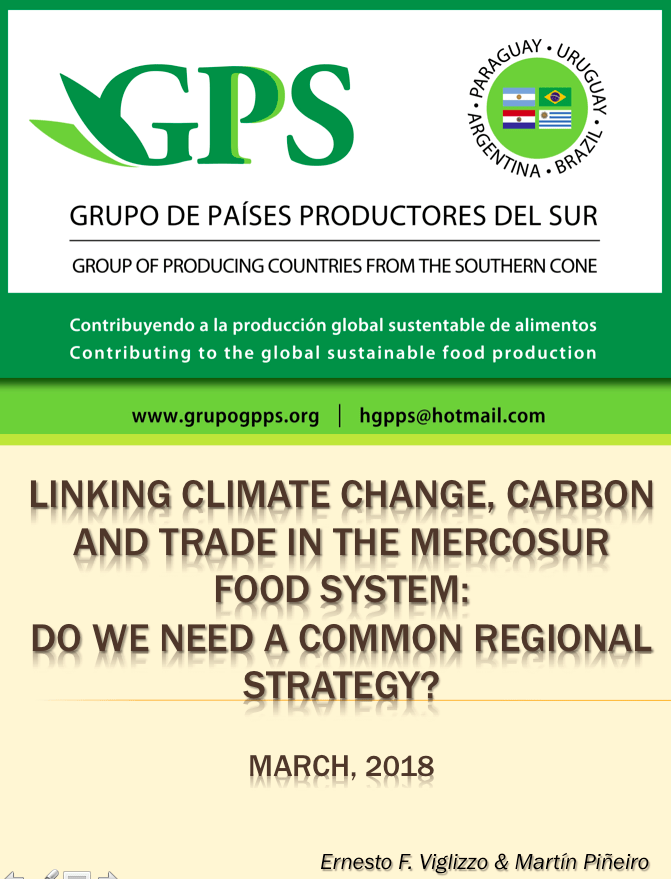 Linking climate change, carbon and trade in the MERCOSUR food system: Do we need a common regional strategy?