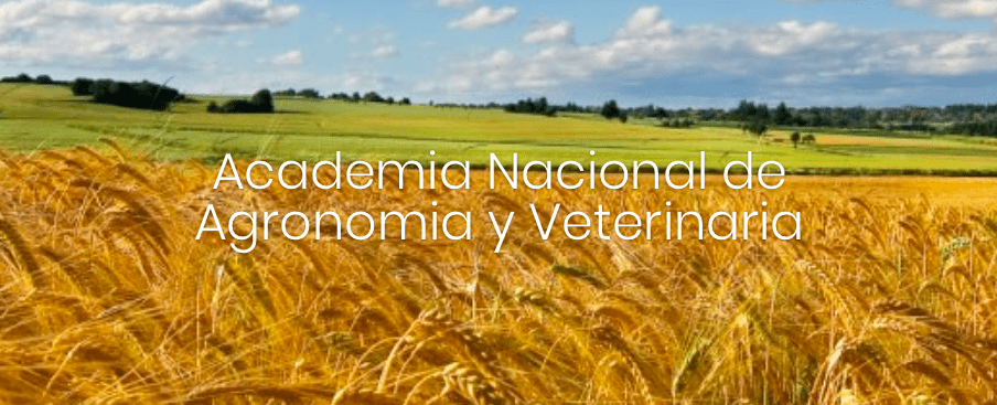 Marcelo Regúnaga y Ernesto Viglizzo realizaron una presentación en la Academia Nacional de Agronomía y Veterinaria
