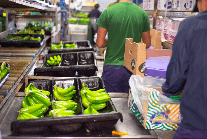 Alerta en la región ante posibles nuevas barreras sanitarias ‘COVID-FREE’ en el comercio internacional de alimentos